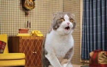 丁丁是要护好蛋蛋的事也要知道