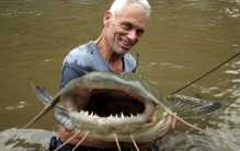 世界上最大的淡水鱼之一 体型庞大（坦克鸭嘴鱼）