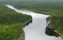 世界三大森林面积国家 俄罗斯第一 （自然资源丰富）