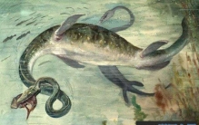 世界十大恐怖海怪传说，真的有海怪吗？