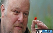 世界上最辣的辣椒排名前十：龙息辣椒居第一，你敢尝试吗？