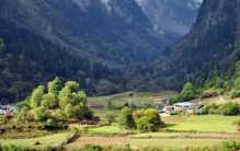 中国一妻多夫的村庄 居然只有22户人家（近亲结婚）