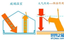温室大棚保温原理是什么？为什么大棚里温度高？