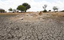干旱区面积最大的大洲 常年干旱自然灾害多（非洲）