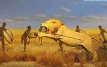 成人礼必须要猎杀狮子 什么民族这么勇猛？（游牧民族）