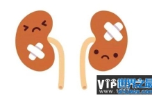 性能力真的跟肾虚有关吗