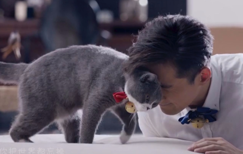 胡歌官宣生女!网传与老婆因养猫结缘,两人2021年领证 - 世界之最