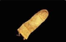 世界上最古老的安全套：鱼鳔制作而成的（1640年出现）