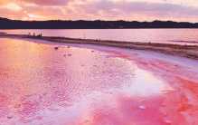 世界上最浪漫的湖泊 湖面粉红色（玫瑰湖）