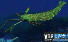 奥陶纪十大恐怖生物，有几种还活在海洋中