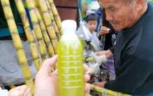 其他国家的甘蔗都要加工 为啥中国人敢吃？（饮食习惯）