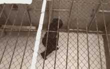 俄罗斯最硬核的监狱 从没有人会越狱（毛子监狱）