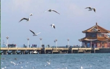 夏日出游国内十大浪漫海滨城市，青岛排在第一名