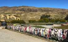 新西兰的一道风景线 居然因为男司机而拆除（内衣墙）