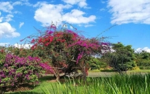 中国十大最美花博园，中国十大花卉园