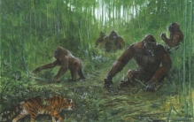 世界上最大的猿类 高达3米重达1100斤（步氏巨猿）