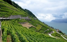 世界十大酒庄排行榜，瑞士拉沃葡萄园排第一名