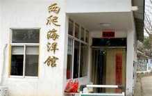 九斤重大老鼠是什么 并不是变异物种（巨大老鼠）