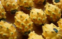 世界十大顶级水果：黄龙果居首，夕张王甜瓜居第八