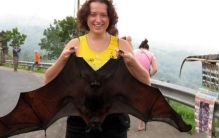 世界三大蝙蝠 是什么蝙蝠（比成人双手展开还大）