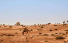 世界十大最大半岛，阿拉伯半岛排名第一