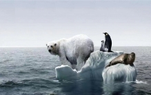 太阳内部发白 是地球进入休眠期的征兆吗（太阳活动）