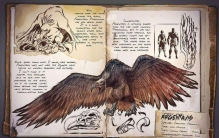 世界上最大的鹰 展翅长达2米（阿根廷巨鹰）