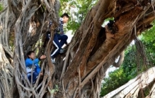 小学生放学去掏鸟窝 却找到一个珍宝（文物知识）