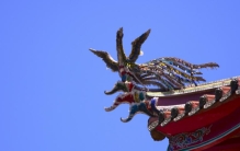 东北老农看到凤凰 专家居然这么说（传说神兽）