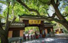 杭州景区旁边的农家乐 居然这么奢华（景区饮食）