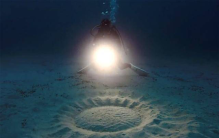 神秘的海底世界中竟然也出现了麦田怪圈 究竟是怎么回事
