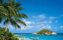 把三亚当成老家的东北人 为啥现在开始逃离？（逃离三亚）