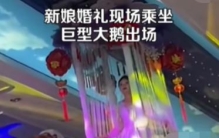 新娘婚礼现场乘坐巨型大鹅登场 这是观音菩萨？（特色婚礼）