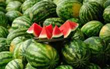 韩国人特殊买西瓜方式 每次只买一小块儿（韩国水果）