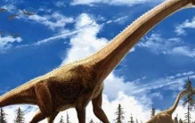 史上最大的恐龙是什么 地震龙体长32到36米 (体型庞大)