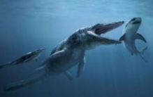 比航母还大的史前巨兽，新西兰大鱼龙！