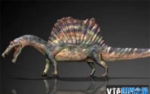 全球十大最恐怖的恐龙 棘龙肉食性兽脚类动物(食肉恐龙)