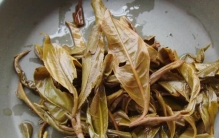 最有诗意的十大茶叶名称：不知春、月光白居前两名