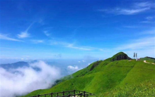 主人让轿夫抬狗上山 居然被键盘侠攻击侮辱（网络现状）