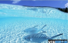 海洋有多深 全球海洋平均深度3897米(3.8公里左右)