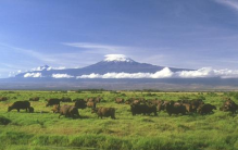 世界上最大的高原 大约500万平方千米(巴西高原)