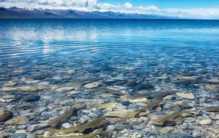 中国最大的咸水湖 4583平方公里的咸水湖(七八月份最美)