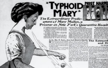 被称之为伤寒玛丽的美国女人 为啥会成为一个恶魔（感染死亡）