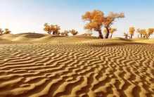 中国独有工程 收集印度洋水蒸气 为西藏降水（降雨项目）