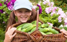 俄罗斯人为了黄瓜自由 到底有多努力（俄罗斯食物）