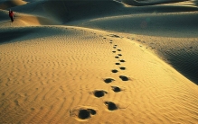 在沙漠里迷路的时候 怎么才有希望自救（沙漠自救）