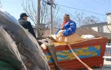 安徽老人给自己办葬礼 居然还说很满意（特殊葬礼）