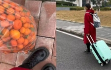 女子带上50斤砂糖橘回学校 结果半路全丢（偷水果）