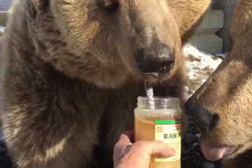 天下奇闻故事-四大新鲜事 - 世界之最