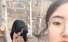 女子算命核桃树挡姻缘 家人直接大型伺候（算命习俗）